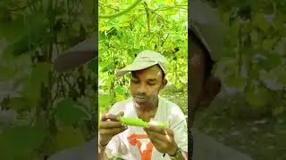 sai sad ato sad ka #trending #youtubeshorts #viralshortsvideo #viral