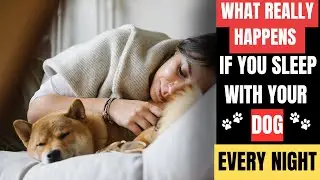 What Really Happens When You Sleep With Your Dog EVERY Night