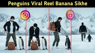 Penguins Viral Reel Editing / Penguins Video Kaise Banaye