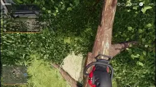 Fs19 video game