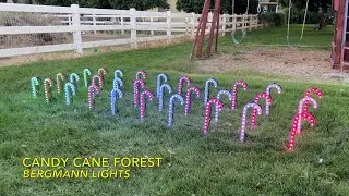 Candy Cane Forrest