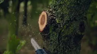 Bosch Cordless Telescopic Pruner GKE18V-25TP Johor Bahru Malaysia - Thewwarehouse.com