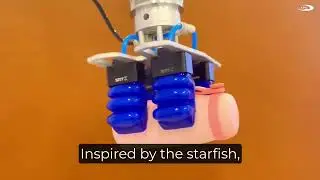 Innovative Soft Gripper Technology: Transforming Industrial Automation