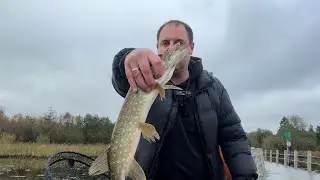РИБОЛОВЛЯ, ОСІННІЙ СПІННІНГ В ІРЛАНДІЇ. РІЧКА SHANNON