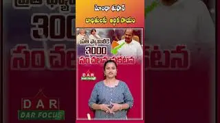 AP Govt Announces ₹3,000 Relief for Cyclone Victims | Montha Cyclone | Latest updates | DAR FOCUS