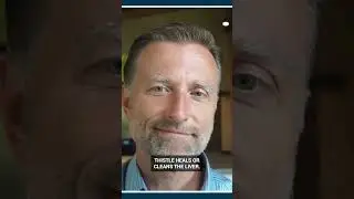 Dr. Berg explains the primary effect of milk thistle #drberg #milkthistle #liver #health #keto