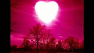 SupaX - The True Love&copy;