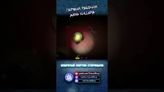 Первый рабочий день киllера