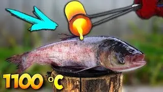 Was passiert wenn man LAVA und Gl&uuml;hende Metall Kugel auf ein FISCH legt? Timon Show Experimnet