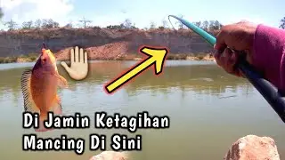 Mancing Di Spot Yang Lagi Viral Ikan Nila Babon di Sluke
