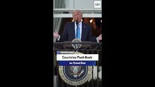 Countries Push Back on Travel Ban