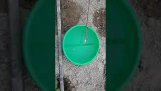 Effectiveness of Tuta lure..