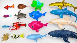 [🐟Toy ASMR🐬] Sea Turtle & Dolphin & Shark & Robo Fish | From Mini to Giant | Satisfying Unboxing