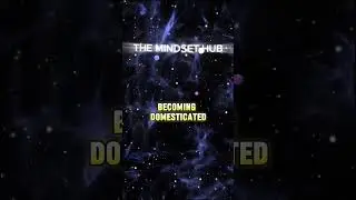 The Great Sedation of Modern Life | The Mindset Hub