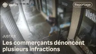 Bagarres, vols et agressions pr&egrave;s d'un centre commercial de Brossard