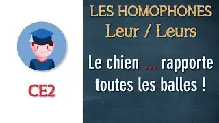 Les homophones Leurs / Leur - CE2 - Petits Savants