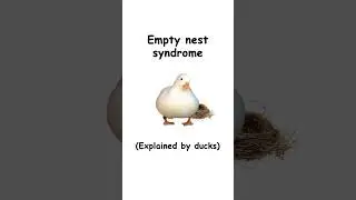 Empty nest syndrome (explained by ducks)