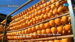 The Toyama Brand Story (English)  【Toyama Hoshigaki (dried persimmons)】