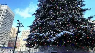 A Christmas Day Walk Through the Trees  | With Gratitude & Warm Wishes | Vlogmas Day 25