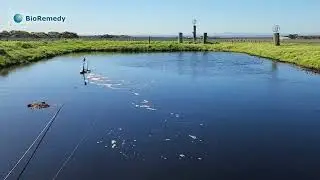 BioRemedy's Acqua&Co Force7 at a Vineyard in Southern Victoria
