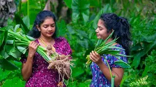 Healthy Taro Delights 🌿 | A Secret Village Recipe & Taste of Tradition