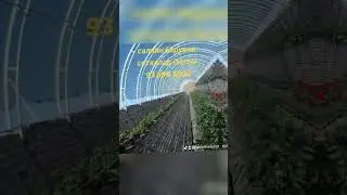 soya setka optom narxda 93 441 7476 93 699 1000