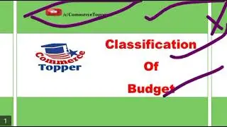 Classification of Budget in Hindi || Budget || Cost Accounting