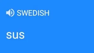 SWISH IN SWEDISH 😳