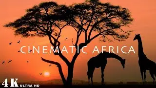 Africa - Cinematic Travel Film //4K