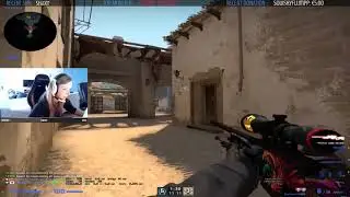 PETRA CRAZY ACE