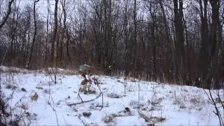 1lb Shockwave Exploding Target