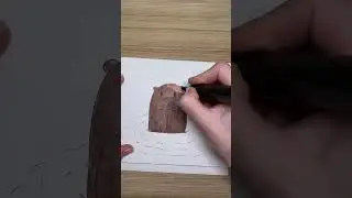 Funny beaver #drawing #pencildrawing #inspiration #artist #artwork #ink #animals #beaver