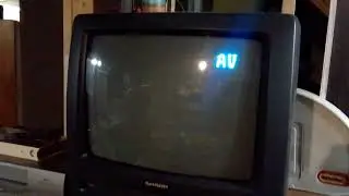 High Pitched White Screen Of Death 3 Seconds On My Coming To America 1998 VHS