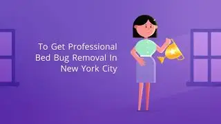 OCP Bed Bug Exterminator NYC - Bed Bug Removal New York City