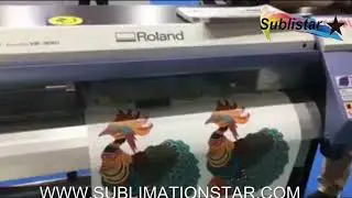 Roland VersaCAMM VS 300i Series Large Format Inkjet Printer and Cutter