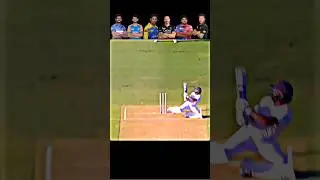 best scoop shot in cricket🤯 #cricket #shorts