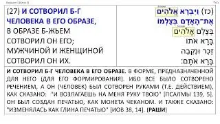 Берешит 1:26-27  Сотворение человека. Тора, иврит, перевод, комментарий