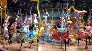 Caro seuss el
