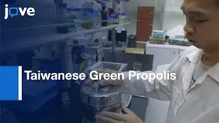 Taiwanese Green Propolis Extraction and Analysis | Protocol Preview