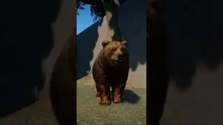 Himalayan Brown Bear Animations | Planet Zoo
