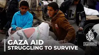 Gaza's displaced families struggle as little aid comes through the Rafah crossing