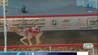 بث مباشر | السباق السنوي للاتحاد العماني لسباقات الهجن 2025م