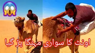 fani vlogs fani fani video fani willis fanny family vlogs Kamel ka Sawari mahanga Pad Gaya Pardasi