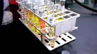 Nitrate to Nitrite reduction 1