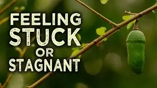Feeling Stuck or Stagnant on Your Spiritual Journey?