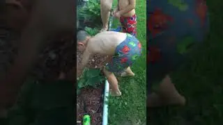 Adrian, Jacob & Kimber VS The Awkward Frog Hunt