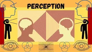 What is Perception? Faculties of the Mind
