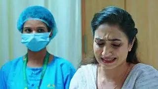 Seetha Ramam - Full Ep - 161 - Sitha, Sr Ram, Sihi - Zee Keralam
