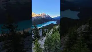 Peyto Lake: The Wolf-Shaped Wonder of the Canadian Rockies!