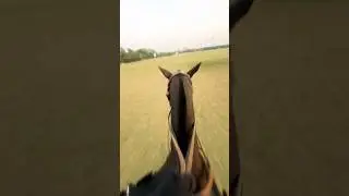Lahore Polo Club - Shergarh - 2025 #music #horseride #horseriding  #2025  #polo #horsepower